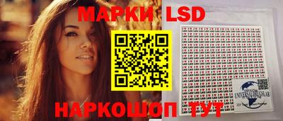 крисы Будённовск